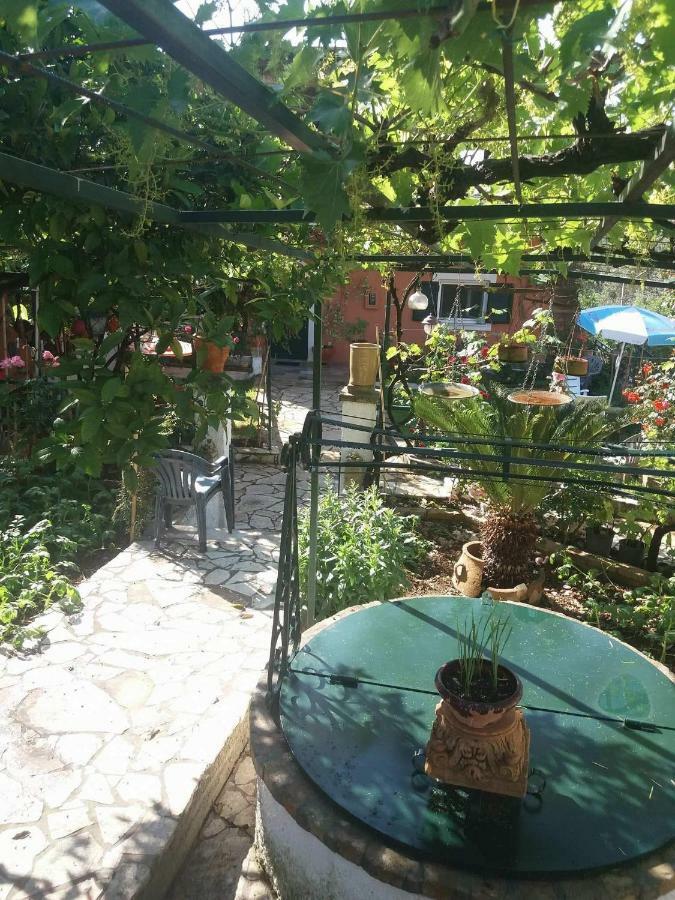 Nefeli'S Country House Kornata Ngoại thất bức ảnh