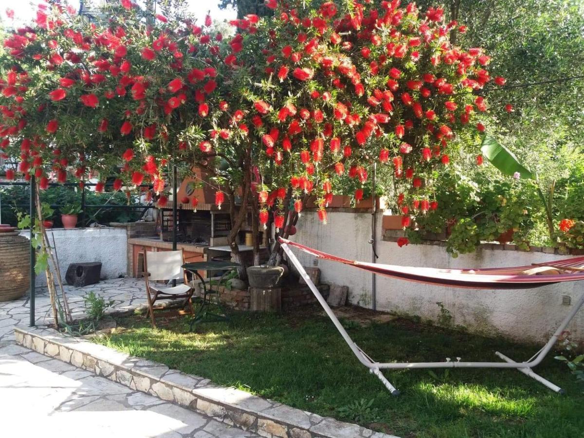 Nefeli'S Country House Kornata Ngoại thất bức ảnh